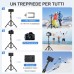 CIRYCASE Treppiede Smartphone, Bastone Selfie Allungabile di 133 cm con Telecomando Bluetooth Staccabile, Cavalletto per Smartphone Leggero & Portatile Compatibile con iPhone/Samsung/Camera/Gopro, ecc