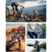 CIRYCASE Bike Phone Holder, [3s Install & Ultimate Anti-vibration] Motorcycle Phone Holder for Bike, 360° Rotatable & Upgraded Handlebar Clamp Bike Mount Adapter for MTB/ATV/Scooter, 4.7-6.8” Phones (Orange)